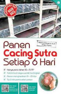 Image of Panen Cacing Sutra Setiap 6 Hari